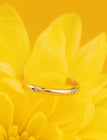 Demi-jonc classique 2mm sertie étoile 5 diamants