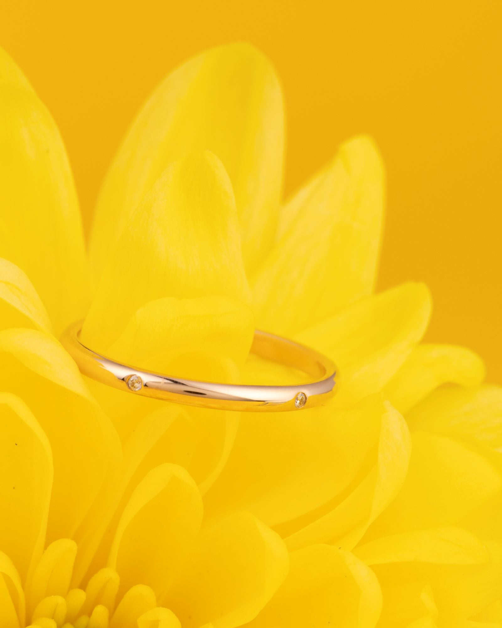 Demi-jonc classique 1,8mm sertie 5 diamants